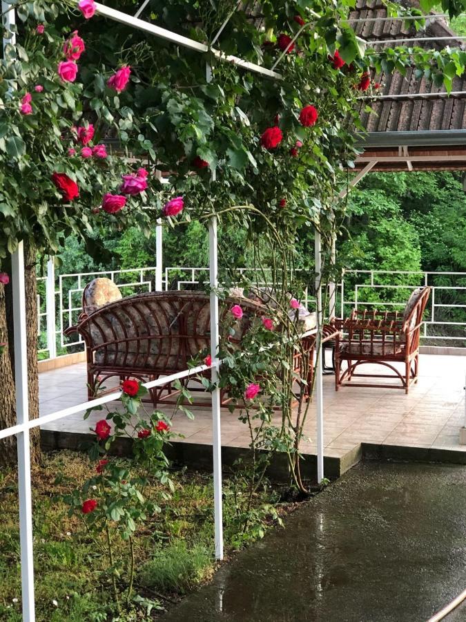 Villa Elita - Bela Crkva เบลา เซิร์ควา ภายนอก รูปภาพ