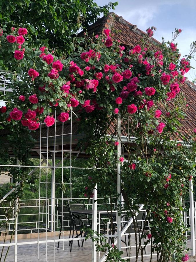 Villa Elita - Bela Crkva เบลา เซิร์ควา ภายนอก รูปภาพ