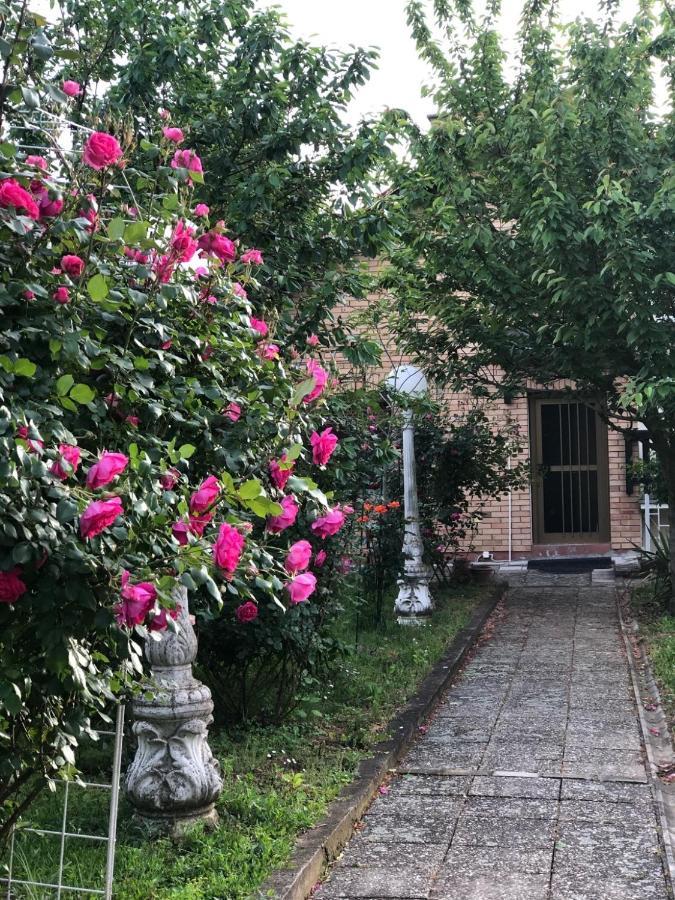 Villa Elita - Bela Crkva เบลา เซิร์ควา ภายนอก รูปภาพ